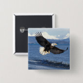 飛翔中のハゲワシ 缶バッジ (正面&裏面)