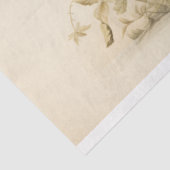 飛行お洒落:鳥の巣切り 薄葉紙 (詳細)