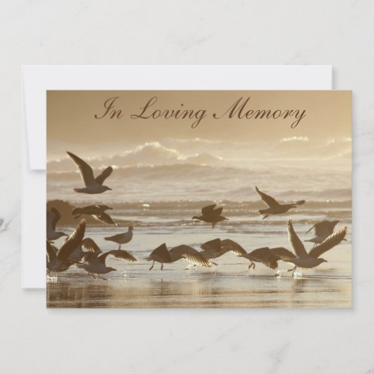 飛行に告別式の発表を取っているカモメ 招待状 (正面)