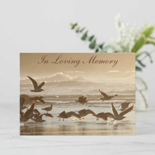 飛行に告別式の発表を取っているカモメ 招待状 (スタンド正面)