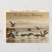 飛行に告別式の発表を取っているカモメ 招待状 (正面/裏面)