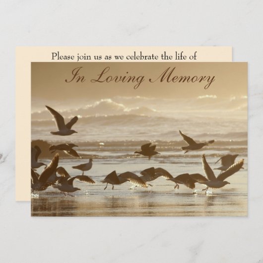 飛行に告別式の発表を取っているカモメ 招待状 (正面/裏面)
