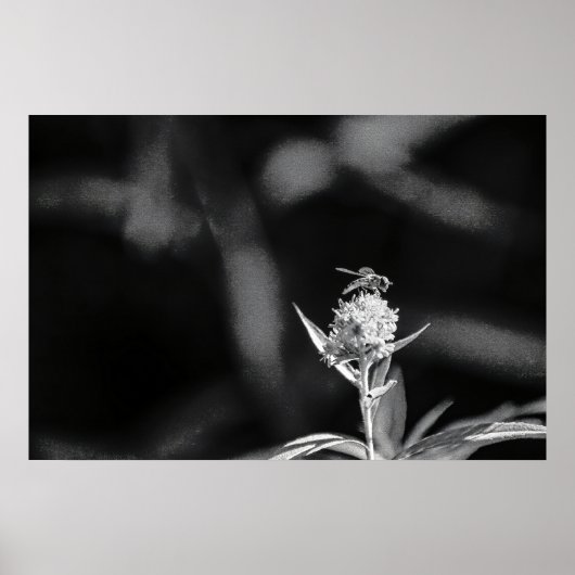 飛行のみ金ゴールド ポスター (正面)