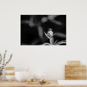 飛行のみ金ゴールド ポスター (キッチン)