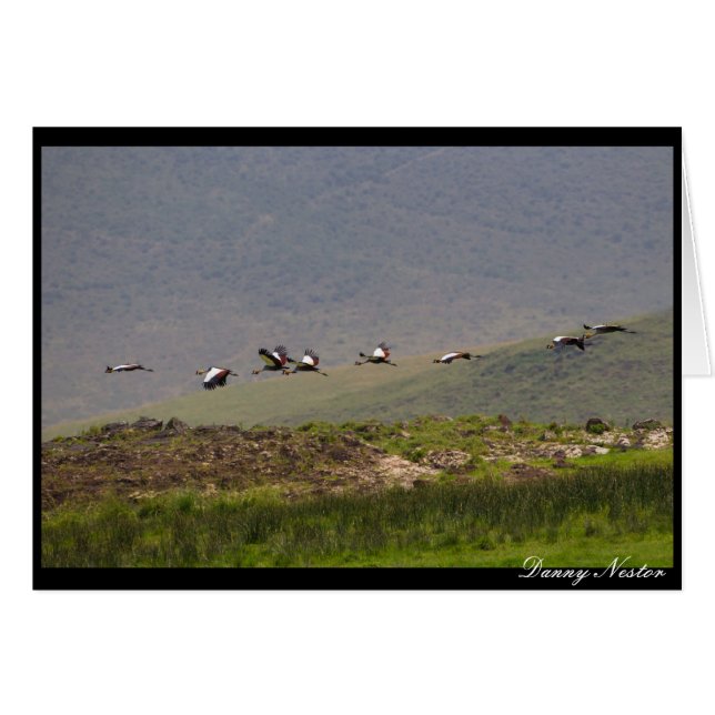 飛行の取得 (正面横)