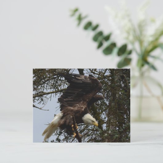 飛行の用意して下さい ポストカード (スタンド正面)