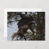 飛行の用意して下さい ポストカード (正面/裏面)