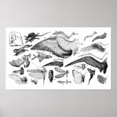 飛行の進化 ポスター (正面)