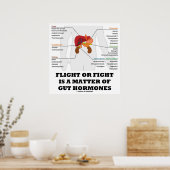 飛行または戦いは腸ホルモンの問題である ポスター (キッチン)