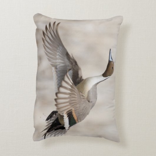 飛行を取っているPintailドレーク アクセントクッション (裏面(縦))