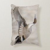 飛行を取っているPintailドレーク アクセントクッション (正面(垂直))