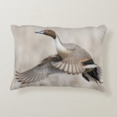 飛行を取っているPintailドレーク アクセントクッション (裏面)