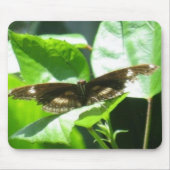 飛行を取って下さい マウスパッド (正面)