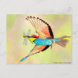 飛行イラストレーションのカラフル鳥 ポストカード