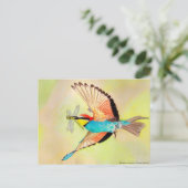 飛行イラストレーションのカラフル鳥 ポストカード (スタンド正面)