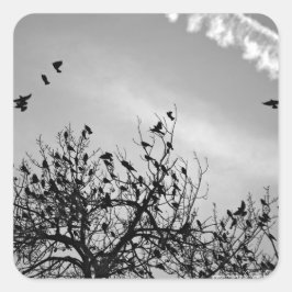 飛行パス スクエアシール