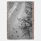 飛行パス スローブランケット (正面縦)