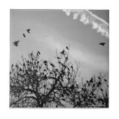 飛行パス タイル (正面)