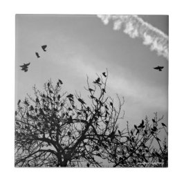 飛行パス タイル