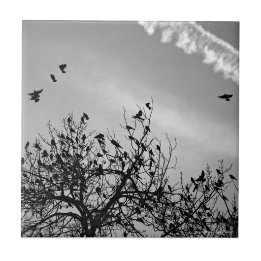 飛行パス タイル (正面)