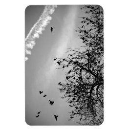 飛行パス マグネット