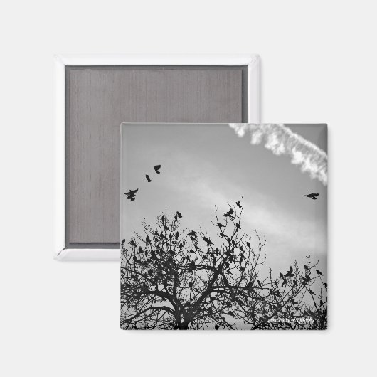 飛行パス マグネット (正面/裏面)