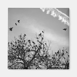 飛行パス マグネット