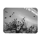 飛行パス マグネット (横)