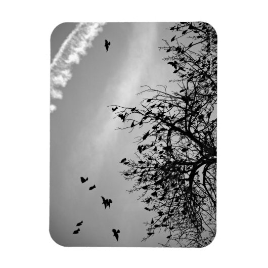 飛行パス マグネット (縦)