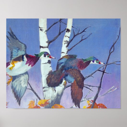 飛行ファンシー ポスター (正面)