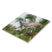 飛行ブラウンのペリカンの着陸のタイル タイル (側面)