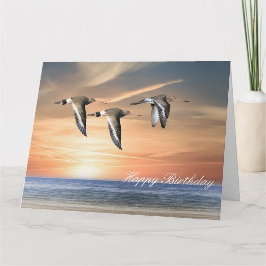 飛行中にゴドウィン カード (正面)