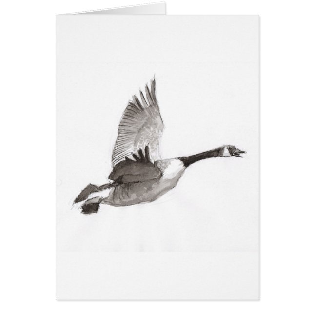 飛行中に引いているガチョウ (正面)