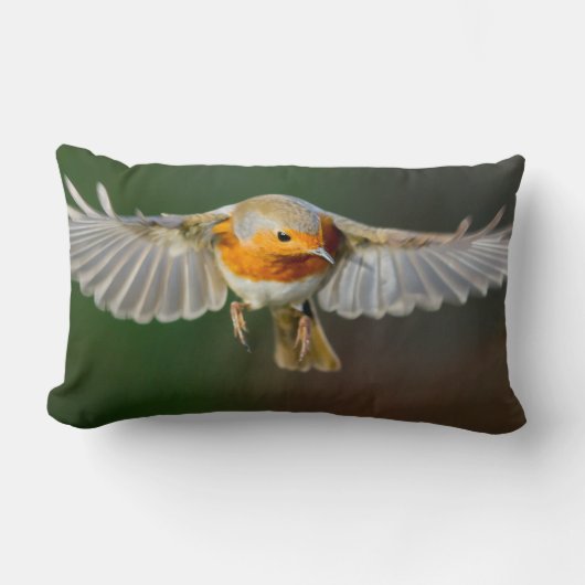 飛行中に浮かぶロビン枕 ランバークッション (正面)