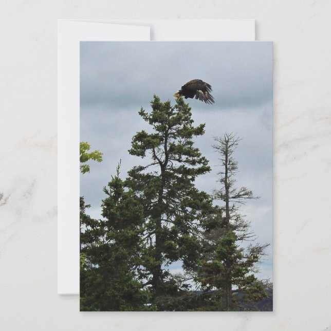 飛行中に (正面)