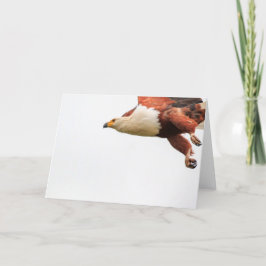 飛行中のアフリカの魚ワシ シーズンカード