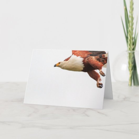 飛行中のアフリカの魚ワシ シーズンカード (正面)