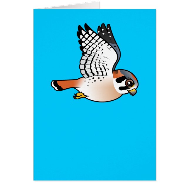 飛行中のアメリカのKestrel (正面)