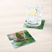 飛行中のアメリカフクロウ スクエアペーパーコースター (インサイチュ)