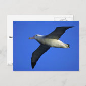 飛行中のアラバトロスの徘徊 ポストカード (正面/裏面)