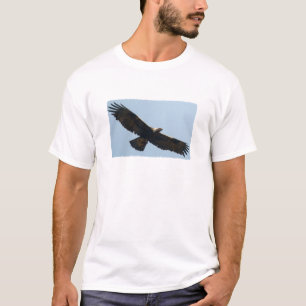 飛行中のイヌワシ Tシャツ
