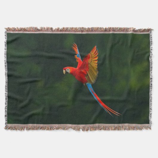 飛行中のオウム スローブランケット (正面)