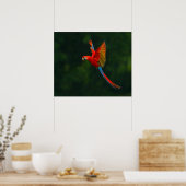 飛行中のオウム ポスター (キッチン)