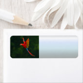 飛行中のオウム ラベル (インサイチュ)