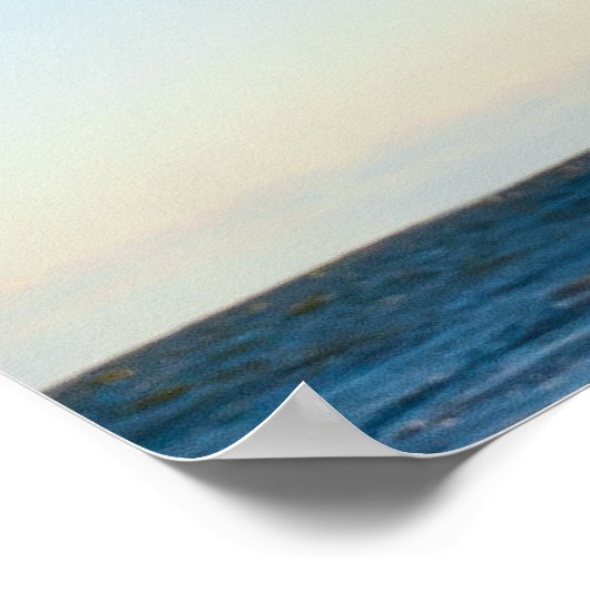 飛行中のカモメ ポスター (角)