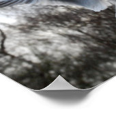 飛行中のカモメ ポスター (角)