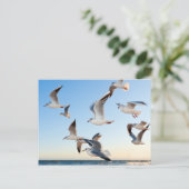 飛行中のカモメ ポストカード (スタンド正面)