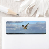 飛行中のカモメ ラベル (インサイチュ)