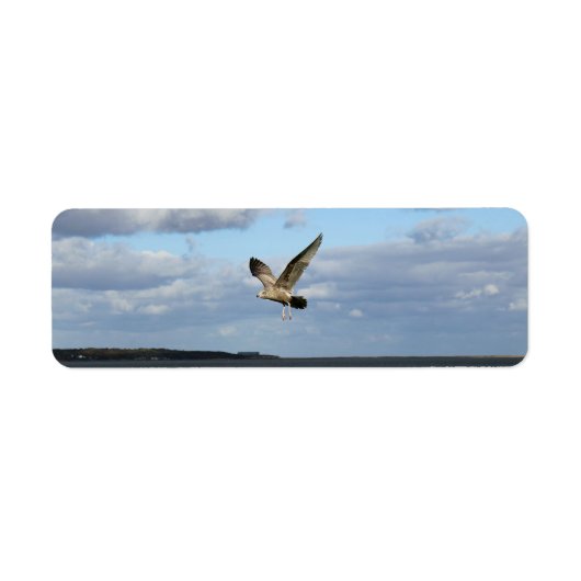 飛行中のカモメ ラベル (正面)