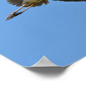 飛行中のグレー・ヘロン ポスター (角)